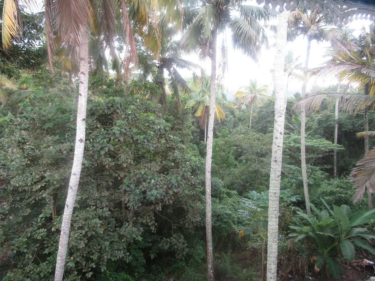 Blue Wave Resort Varkala Bagian luar foto